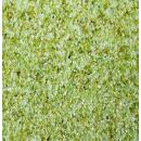 Styroporpool Deluxe-Set 6 - 8 x 1,50 m EPS 40, Treppe Gesamte Breite