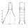 Aufstellleiter CLASSIC 120 | 40 mit 1 x 4 und 1 x 1 Stufe
